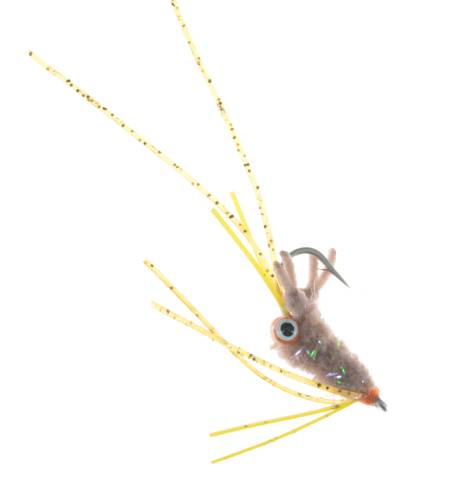 Hairy Mantis - Tan